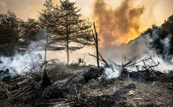 Оценка ущерба после стихийного бедствия в Вологде: отчет оценщика